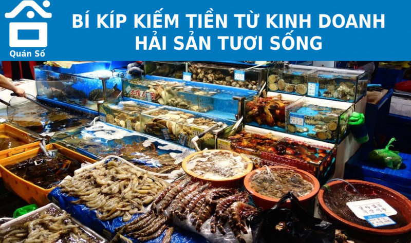 BÍ KÍP KIẾM TIỀN TỪ KINH DOANH HẢI SẢN TƯƠI SỐNG